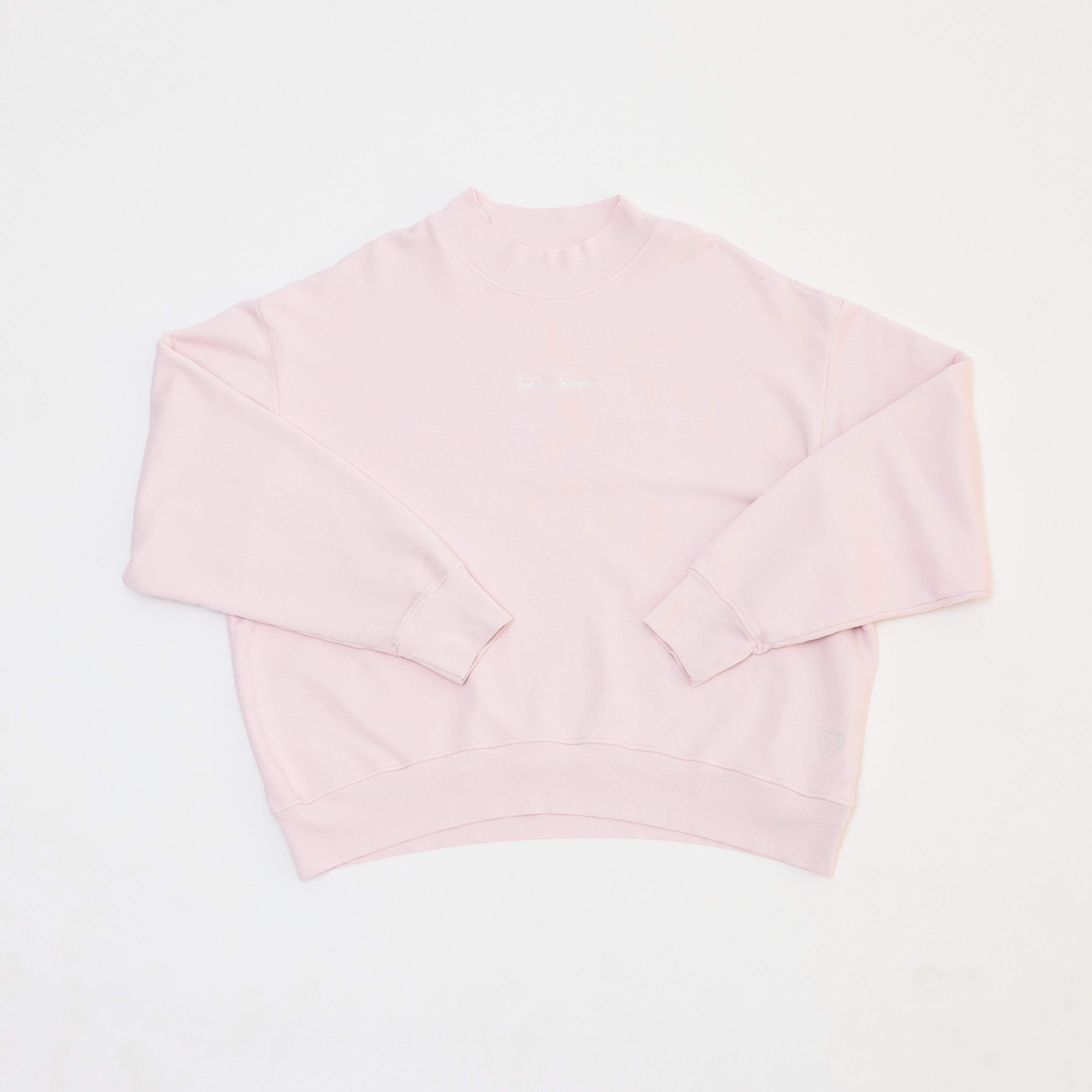 Pink Sweatshirt (Folded)